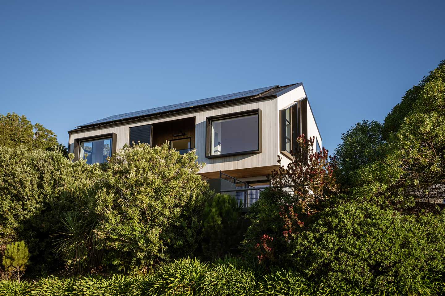 Revelation III viewed through dense planting, with a timber-clad upper level, deep framed windows and solar panels across the roof.